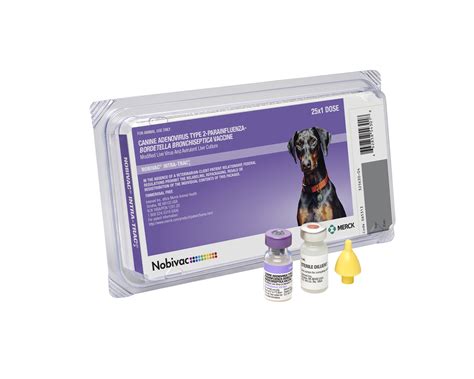 Key Vaccination: Canine Adenovirus (CAV) .